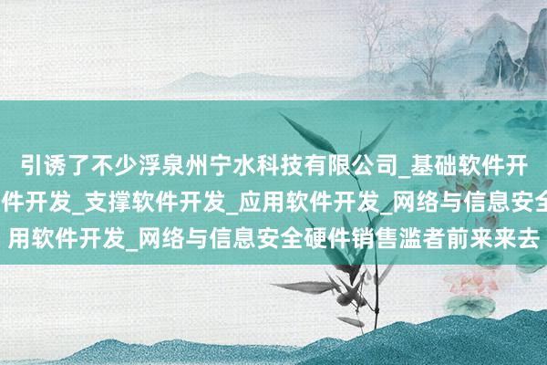 引诱了不少浮泉州宁水科技有限公司_基础软件开发_网络与信息安全软件开发_支撑软件开发_应用软件开发_网络与信息安全硬件销售滥者前来来去